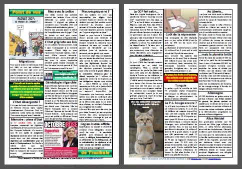 Journal Trazibule